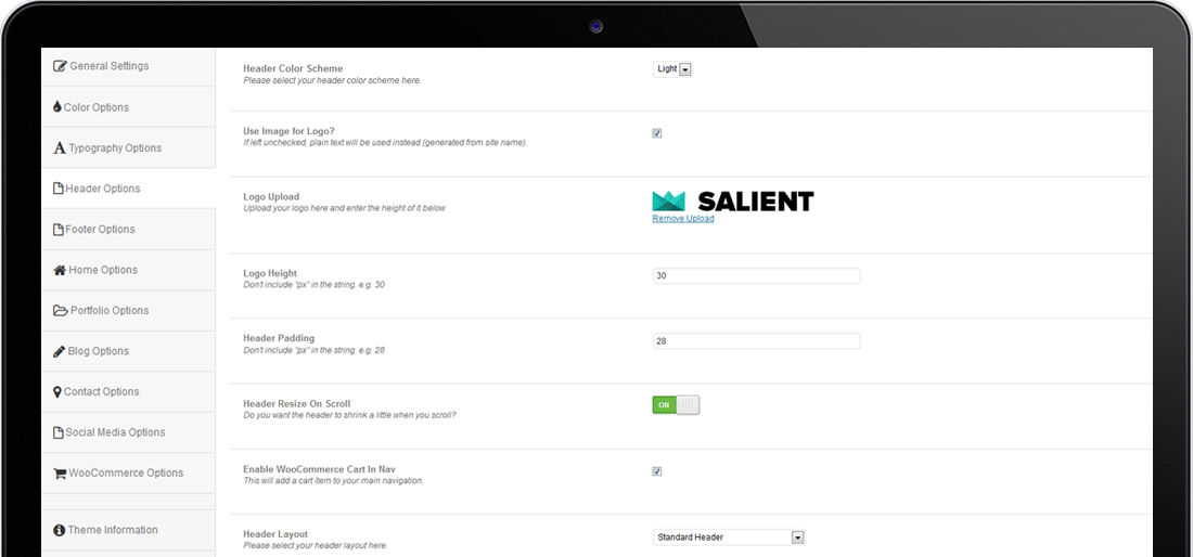header options panel